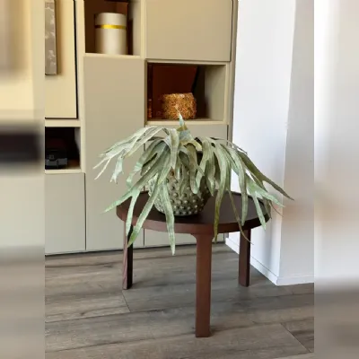 Tavolino moderno Cond� di Twils a prezzo ribassato