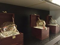 Diguel Sfere Artistiche in vetro soffiato ,Decorate a mano , commemorative annuali da collezione , oggetti d'arte esposti nel mondo