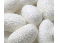 La seta: materiale traspirante, anallergico e sano per eccellenza.