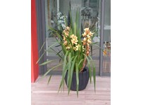 Complemento Slide Slide shopping , vaso outdoor vendita online ,star