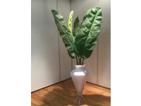Vaso Anfora New Romantic in vetro, Vg New Trend