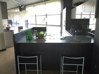 CUCINE CON PENISOLA