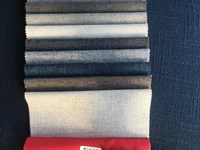 colore grigio chiaro