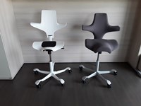 Sedia ergonomica e girevole hag