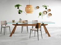 TAVOLO DI DESIGN VETRO TAVOLO DI DESIGN VETRO